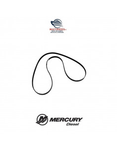 47-8M0214514 courroie alternateur ORIGINE moteurs CMD CUMMINS MERCURY DIESEL MERCRUISER QSD 4.2 47-898101579