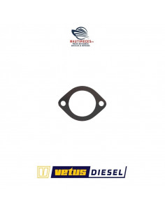 STM6251 joint thermostat eau refroidissement moteur VETUS DIESEL M2 M3 STM6250 STM3521