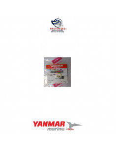 189010-01130 joint bouchon huile embase sail drive YANMAR MARINE SD40 SD50