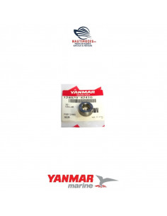 124070-42410 rondelle poulie pompe eau de mer moteur YANMAR MARINE GM