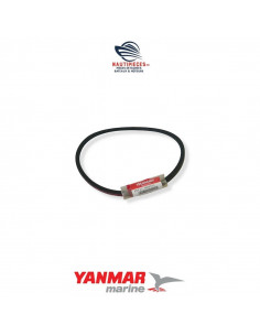 25117-003151 courroie alternateur M31.5H ORIGINE moteur diesel YANMAR MARINE 2QM20 3QM30 124772-42780 124772-77350 HM32