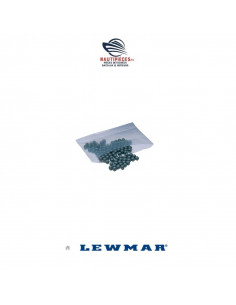 29175022 sachet 100 billes delrin 3.2 mm 1/4" Lewmar Taille 00