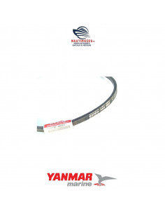 119831-42290E courroie alternateur A37.5 ORIGINE moteurs diesel YANMAR MARINE