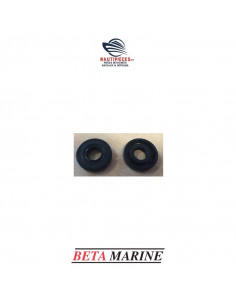 207-09351 kit joint spi pompe eau mer moteur BETA MARINE 207-08922