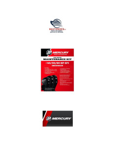 Kit entretien 300 heures F50 / F60 EFI BF CT
