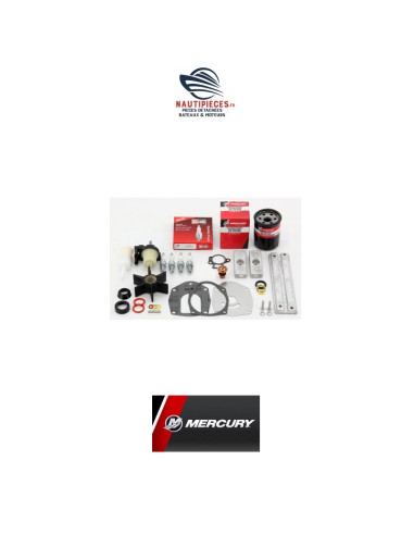 Kit entretien 300 heures F50 / F60 EFI BF CT