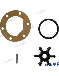 500100GX Kit turbine F35 pompe eau mer CEF moteur JOHNSON PUMP 09-806B-1 JABSCO 4528-0001