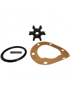 500100GX Kit turbine F35 pompe eau mer CEF moteur JOHNSON PUMP 09-806B-1 JABSCO 4528-0001 2