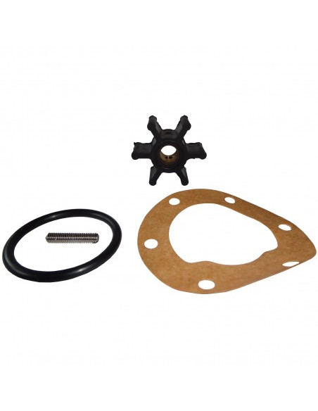 500100GX Kit turbine F35 pompe eau mer CEF moteur JOHNSON PUMP 09-806B-1 JABSCO 4528-0001