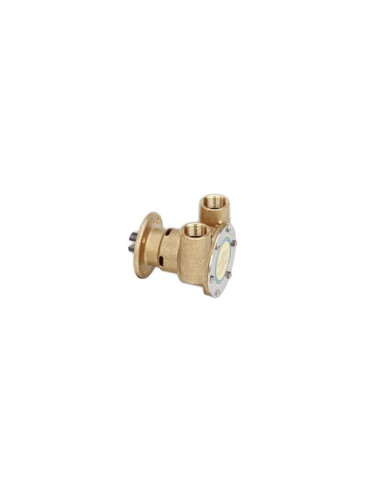 REC09140 pompe eau mer moteurs diesel PERKINS 4.108 35615 JABSCO 3270-0001 3270-200 JOHNSON PUMP 10-24119-2 10-24035-2