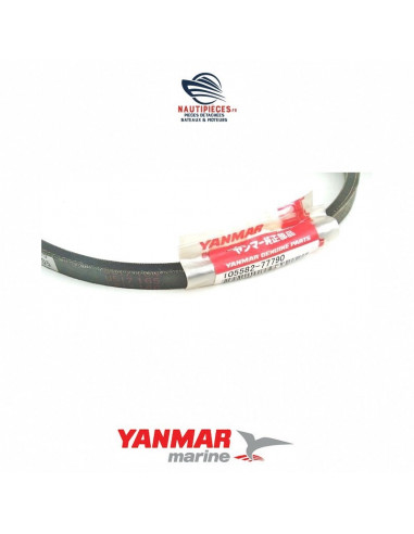 Courroie d'alternateur HM31 pour moteur YANMAR MARINE 1GM 1GM10 105582-77790E REMF1305 105582-77790 Courroie d'alternateur HM31 pour moteur YANMAR MARINE 1GM 1GM10 105582-77790E REMF1305 105582-77790