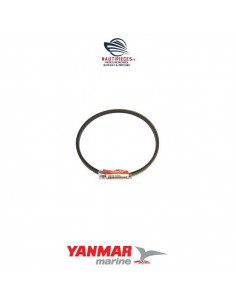 Courroie alternateur HM29 128170-77350 YANMAR MARINE 1GM 1GM10
