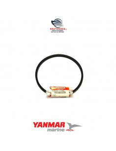 128990-77350E Courroie pompe eau mer ORIGINE moteurs diesel YANMAR MARINE 3YM20 3YM30