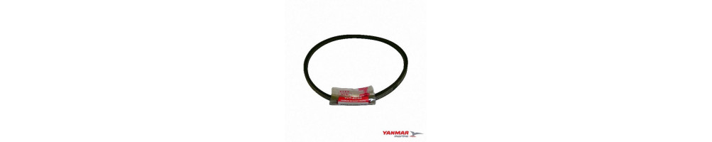 Courroie moteur YANMAR MARINE
