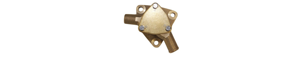 Pompe eau mer moteurs YANMAR MARINE