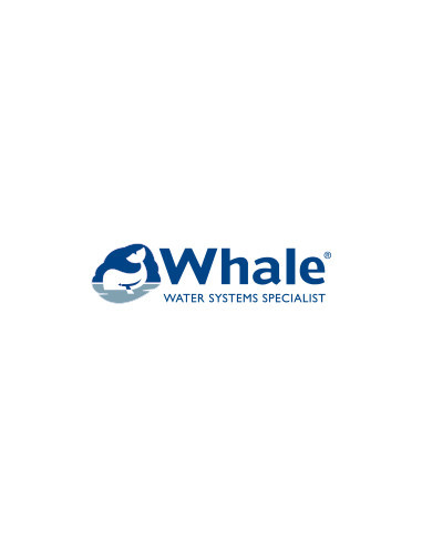 WHALE